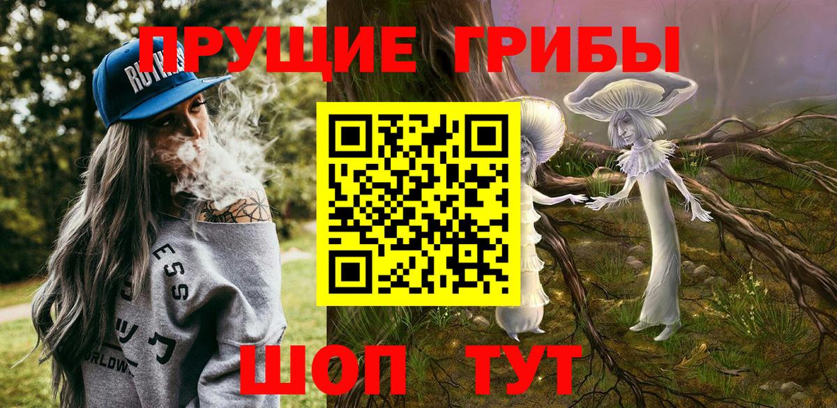 где купить наркотик  Вход с VPN  Большой Камень  Галлюциногенные грибы ЛСД 